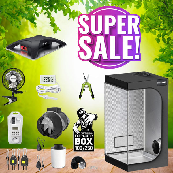 Complete Grow Kit - Basic - GENT LED 100W, 60x60x160 cm (Budget-Friendly)