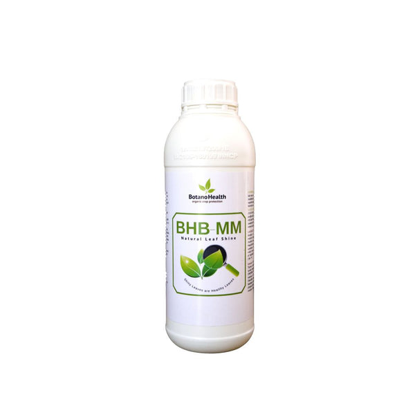 Botano Health BHB-MM Hojas Shiner, 1 l